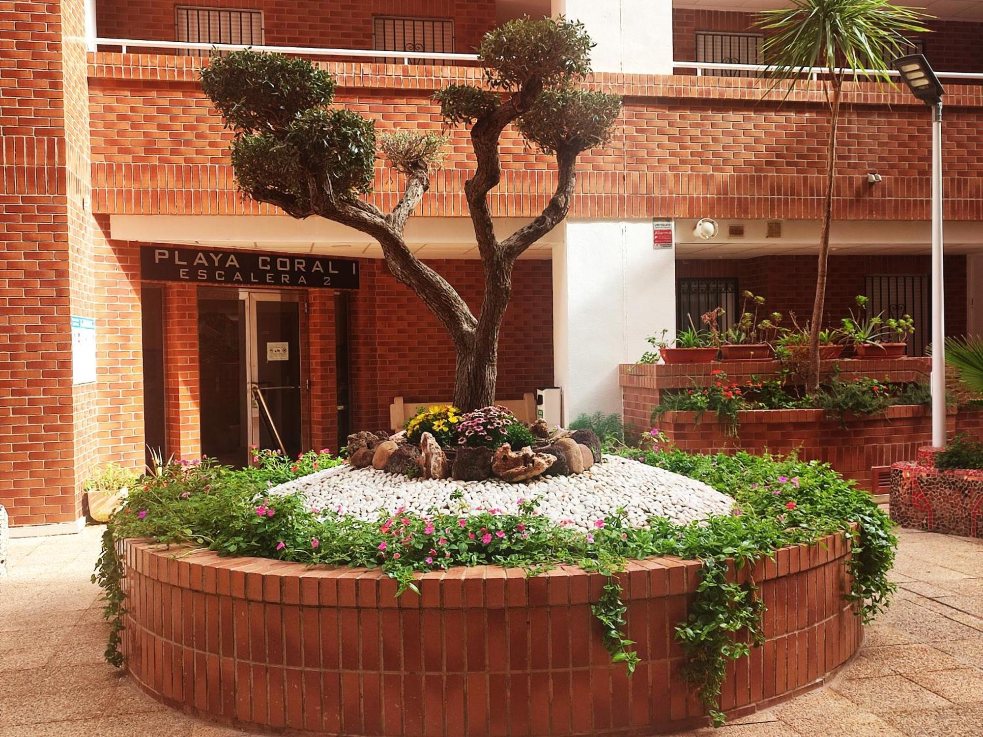 Apartamento Apcostas Playa Coral - Costa Marfil Oropesa del Mar Exterior foto
